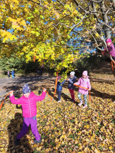 Fotogalerie Den stromů ve  3. třídě, foto č. 6