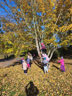Fotogalerie Den stromů ve  3. třídě, foto č. 7