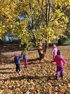 Fotogalerie Den stromů ve  3. třídě, foto č. 8