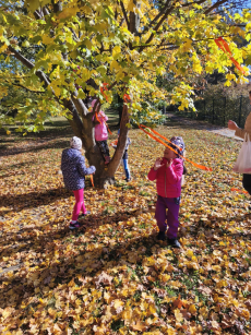 Fotogalerie Den stromů ve  3. třídě, foto č. 9