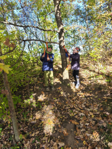 Fotogalerie Den stromů ve  3. třídě, foto č. 10