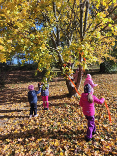 Fotogalerie Den stromů ve  3. třídě, foto č. 11