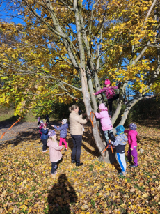 Fotogalerie Den stromů ve  3. třídě, foto č. 12