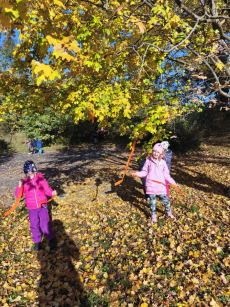 Fotogalerie Den stromů ve  3. třídě, foto č. 13
