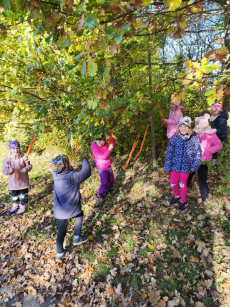 Fotogalerie Den stromů ve  3. třídě, foto č. 14