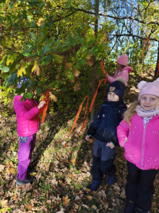 Fotogalerie Den stromů ve  3. třídě, foto č. 15