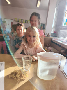 Fotogalerie Bylinky s vílou Sedmikráskou a skřítkem Šípkem - 3. třída, foto č. 3