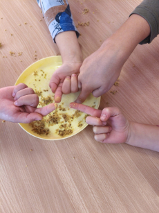Fotogalerie Bylinky s vílou Sedmikráskou a skřítkem Šípkem - 3. třída, foto č. 4