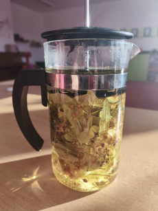 Fotogalerie Bylinky s vílou Sedmikráskou a skřítkem Šípkem - 3. třída, foto č. 8