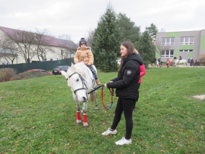 Fotogalerie Odpoledne s poníky, foto č. 11