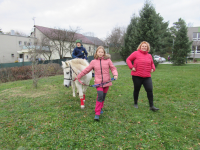 Fotogalerie Odpoledne s poníky, foto č. 12