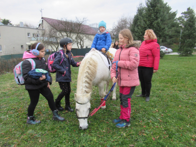 Fotogalerie Odpoledne s poníky, foto č. 13