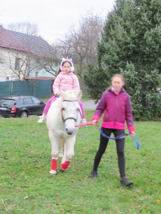 Fotogalerie Odpoledne s poníky, foto č. 14