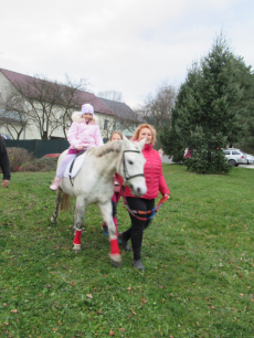 Fotogalerie Odpoledne s poníky, foto č. 15