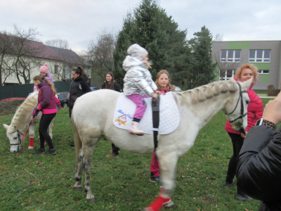 Fotogalerie Odpoledne s poníky, foto č. 16