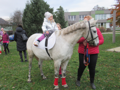 Fotogalerie Odpoledne s poníky, foto č. 18