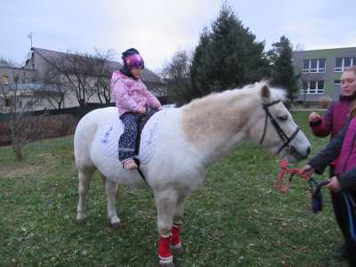 Fotogalerie Odpoledne s poníky, foto č. 38