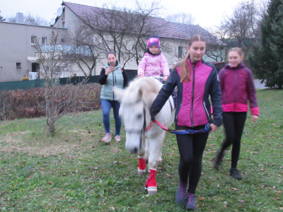 Fotogalerie Odpoledne s poníky, foto č. 41