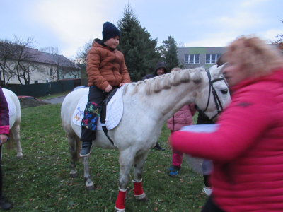 Fotogalerie Odpoledne s poníky, foto č. 42