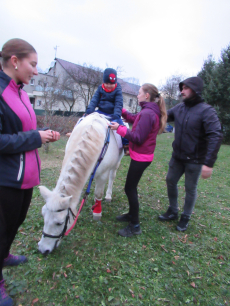 Fotogalerie Odpoledne s poníky, foto č. 43