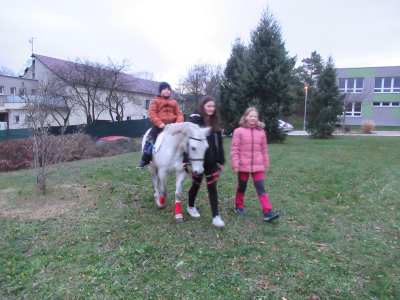 Fotogalerie Odpoledne s poníky, foto č. 44