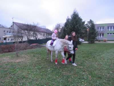 Fotogalerie Odpoledne s poníky, foto č. 45