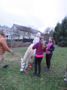 Fotogalerie Odpoledne s poníky, foto č. 46