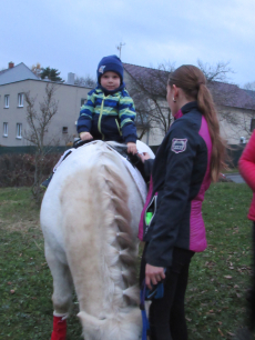 Fotogalerie Odpoledne s poníky, foto č. 56
