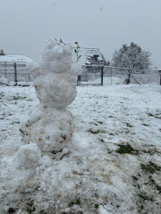 Fotogalerie Náš první sněhulák - 1. třída, foto č. 2
