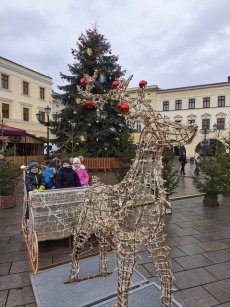 Fotogalerie Zdobení stromečku na náměstí - 3. třída, foto č. 4