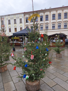 Fotogalerie Zdobení stromečku na náměstí - 3. třída, foto č. 10