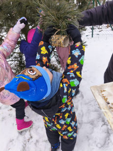 Fotogalerie Stopy ve sněhu - 3. třída, foto č. 34