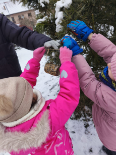 Fotogalerie Stopy ve sněhu - 3. třída, foto č. 39