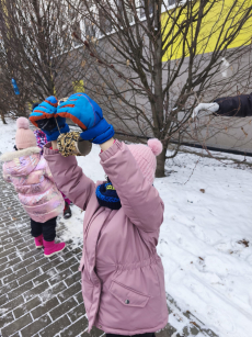 Fotogalerie Stopy ve sněhu - 3. třída, foto č. 28