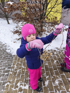 Fotogalerie Stopy ve sněhu - 3. třída, foto č. 30