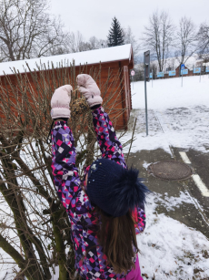 Fotogalerie Stopy ve sněhu - 3. třída, foto č. 31