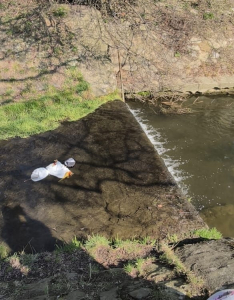 Fotogalerie Vítání jara v MŠ, foto č. 3