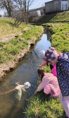 Fotogalerie Vítání jara v MŠ, foto č. 12