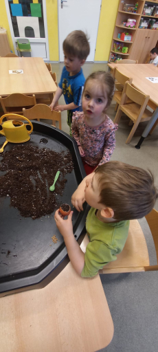 Fotogalerie Jaro v 1. třídě, foto č. 21