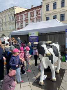 Fotogalerie Den Země - 4. třída, foto č. 5