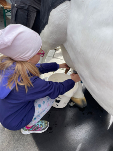 Fotogalerie Den Země - 4. třída, foto č. 9