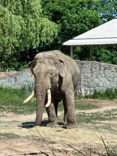Fotogalerie Výlet do ZOO Ostrava , foto č. 35