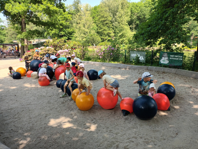 Fotogalerie Výlet do ZOO Ostrava , foto č. 49