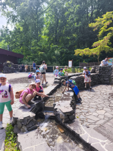 Fotogalerie Výlet do ZOO Ostrava , foto č. 59