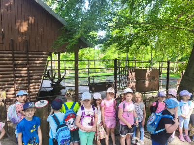 Fotogalerie Výlet do ZOO Ostrava , foto č. 66