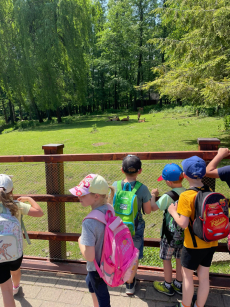 Fotogalerie Výlet do ZOO Ostrava , foto č. 2