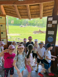 Fotogalerie Výlet do ZOO Ostrava , foto č. 5