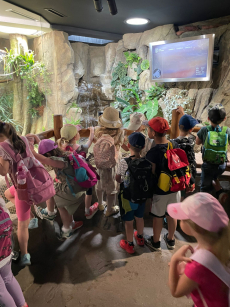 Fotogalerie Výlet do ZOO Ostrava , foto č. 15