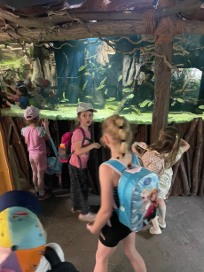 Fotogalerie Výlet do ZOO Ostrava , foto č. 17