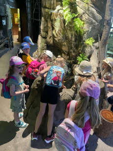 Fotogalerie Výlet do ZOO Ostrava , foto č. 20